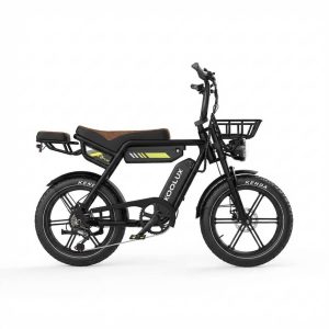 KOOLUX X9 Pro Dual Battery 48V 15.6AH*2 (Dual Battery) 20*4.0'' Tire Hydraulic Brakes Electric Bike HOT